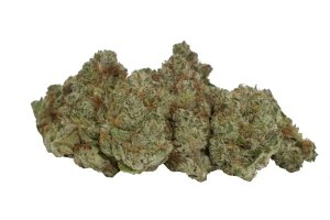 avaay Signature 34/1 OGC